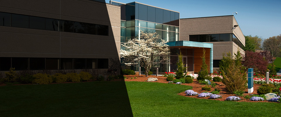 Eagle Pass Landscapers