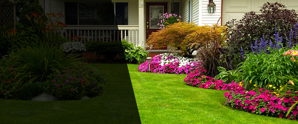 Eagle Pass Landscapers