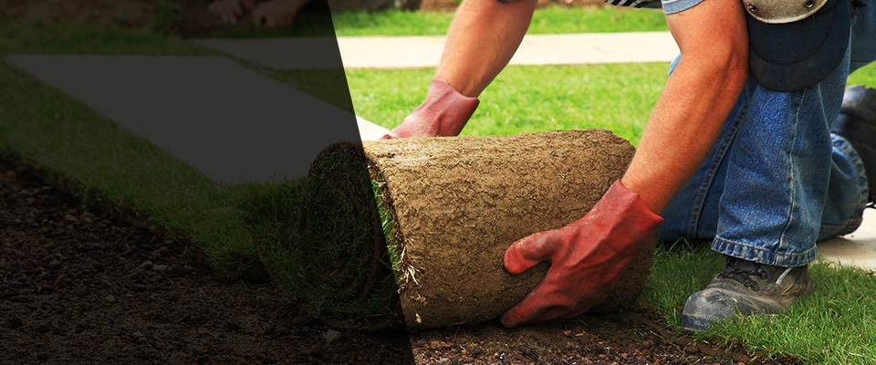 Eagle Pass Landscapers